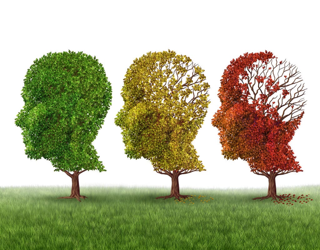 Alzheimer's Home Care in Beamont, TX